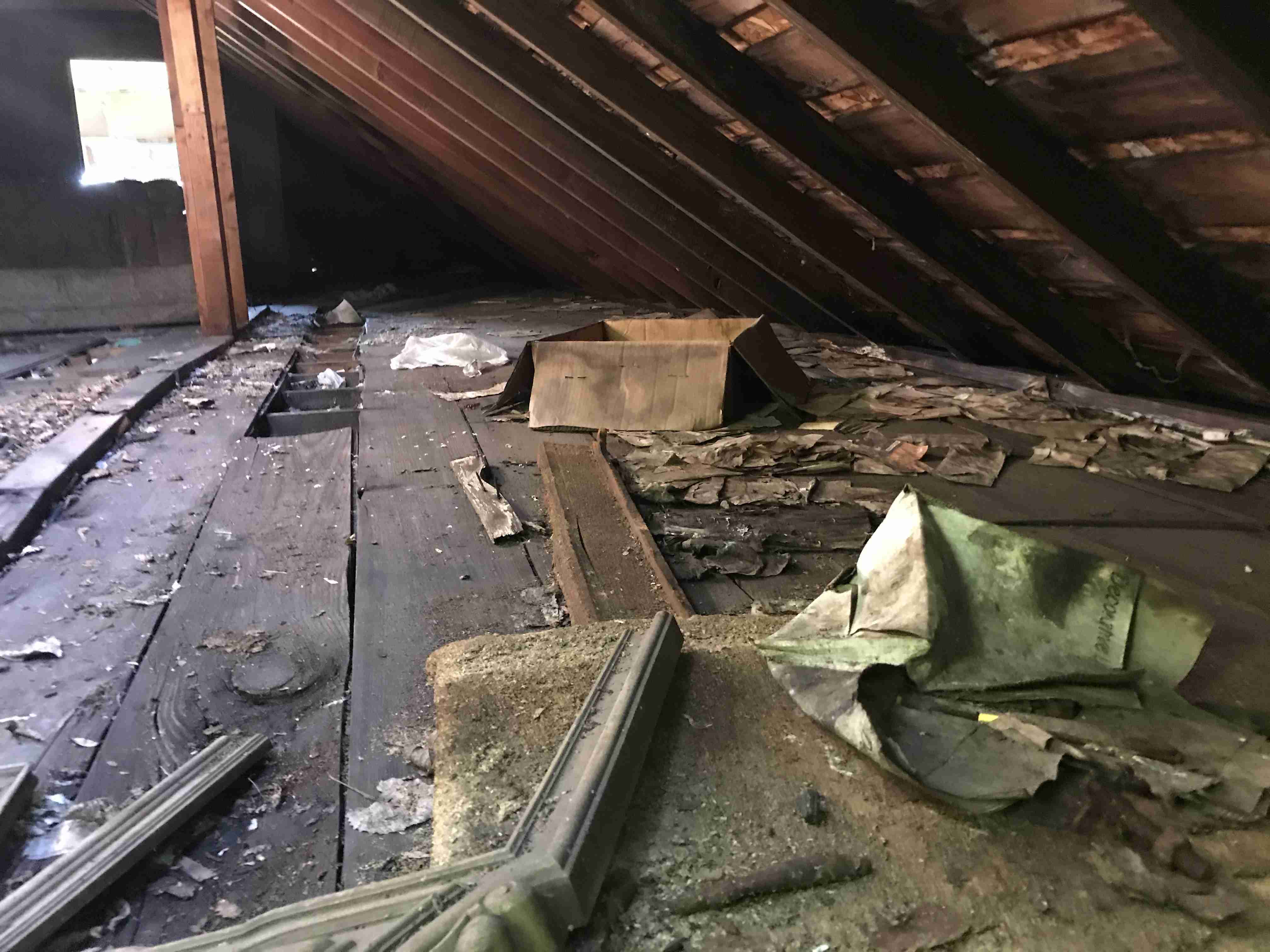 Photo Aug 20, 10 20 17 AM.jpg